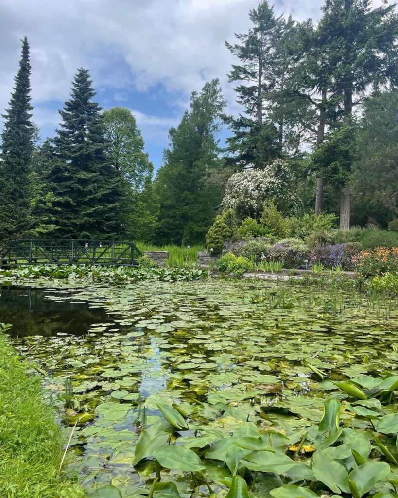 https://www.botanicgardens.ie/glasnevin/